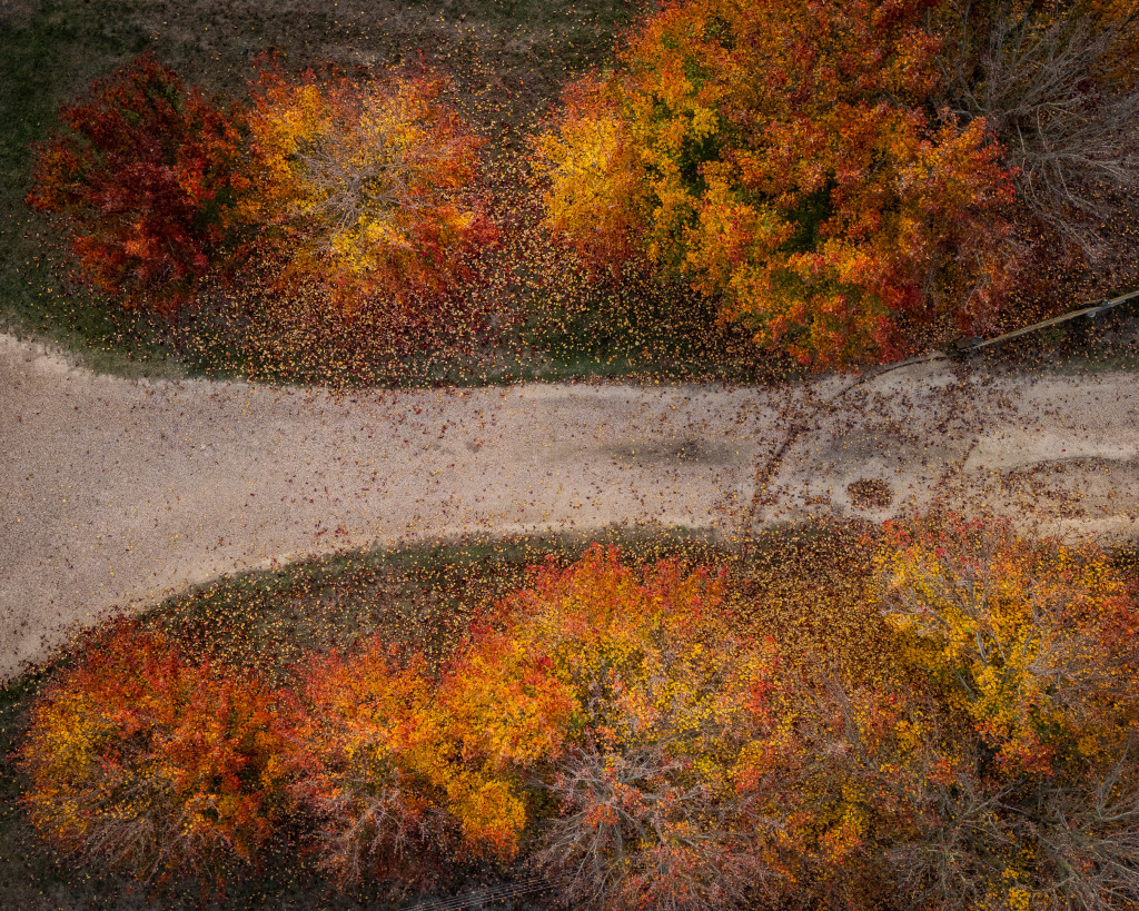 Autumnal Driveway