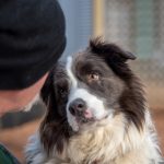 October 2025 – Print & Digital Entries