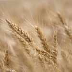 August 2025 – Print & Digital Entries