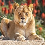 Aug 2026 Competition – Print & Digital Entries